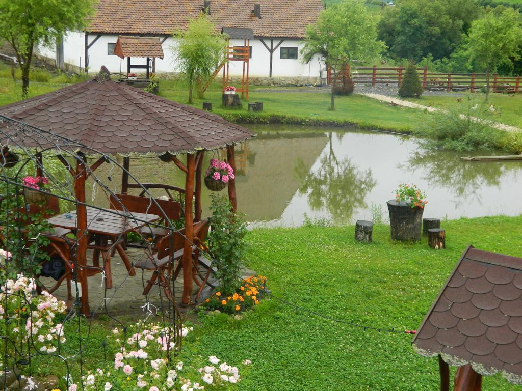 Pensiunea Violeta Saschiz Exterior foto