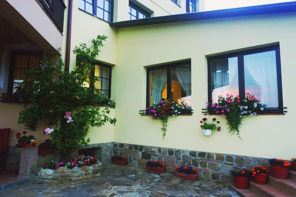 Pensiunea Violeta Saschiz Exterior foto