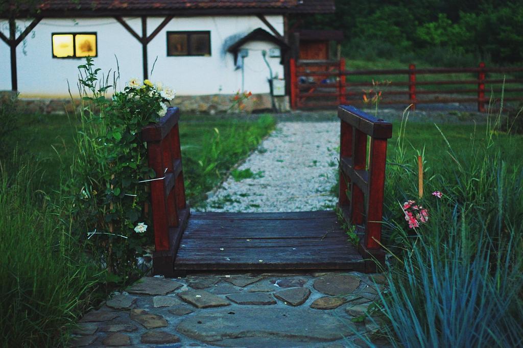Pensiunea Violeta Saschiz Exterior foto