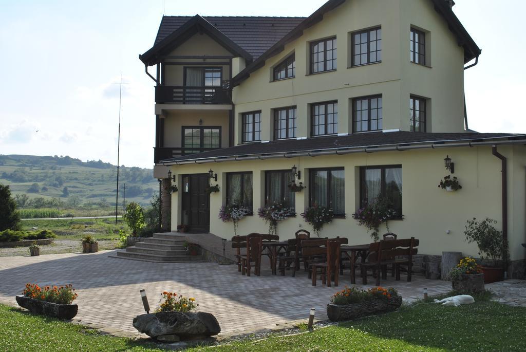 Pensiunea Violeta Saschiz Exterior foto